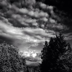 View from Council Crest toward Mt. Hood, which is NOT visible