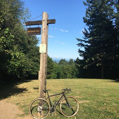 View from Council Crest toward Mt. Hood, which is visible