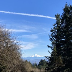 View from Council Crest toward Mt. Hood, which is visible