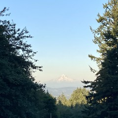 View from Council Crest toward Mt. Hood, which is visible