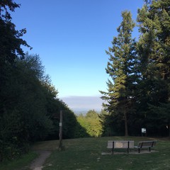 View from Council Crest toward Mt. Hood, which is visible