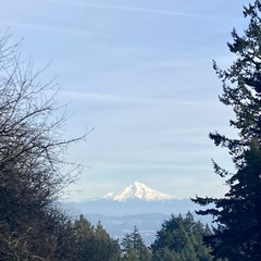 View from Council Crest toward Mt. Hood, which is visible