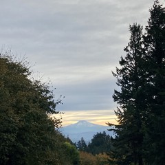 View from Council Crest toward Mt. Hood, which is visible