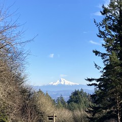 View from Council Crest toward Mt. Hood, which is visible