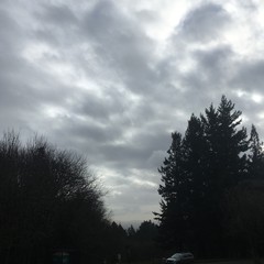 View from Council Crest toward Mt. Hood, which is NOT visible