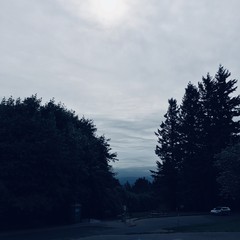 View from Council Crest toward Mt. Hood, which is NOT visible