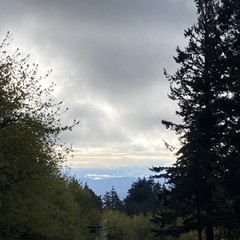 View from Council Crest toward Mt. Hood, which is NOT visible
