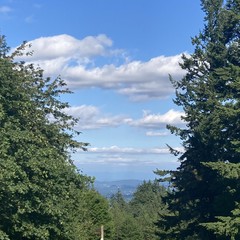 View from Council Crest toward Mt. Hood, which is visible