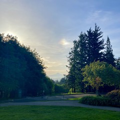 View from Council Crest toward Mt. Hood, which is visible