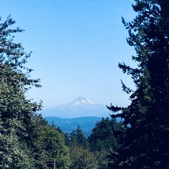 View from Council Crest toward Mt. Hood, which is visible
