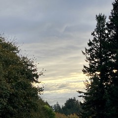 View from Council Crest toward Mt. Hood, which is NOT visible