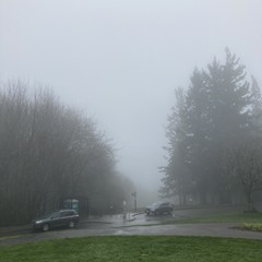 View from Council Crest toward Mt. Hood, which is NOT visible
