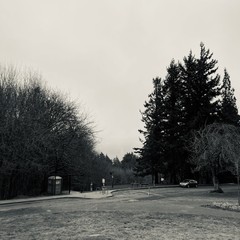View from Council Crest toward Mt. Hood, which is NOT visible