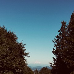 View from Council Crest toward Mt. Hood, which is visible