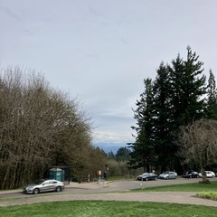View from Council Crest toward Mt. Hood, which is visible
