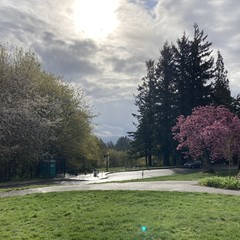 View from Council Crest toward Mt. Hood, which is NOT visible