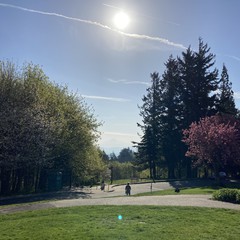 View from Council Crest toward Mt. Hood, which is visible