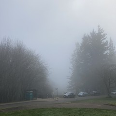View from Council Crest toward Mt. Hood, which is NOT visible