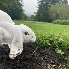 View from Council Crest toward Mt. Hood, which is NOT visible