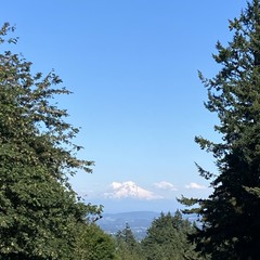 View from Council Crest toward Mt. Hood, which is visible