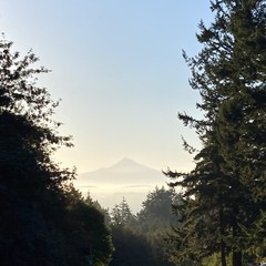 View from Council Crest toward Mt. Hood, which is visible