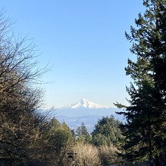 View from Council Crest toward Mt. Hood, which is visible