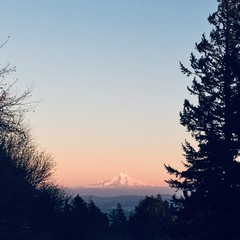 View from Council Crest toward Mt. Hood, which is visible