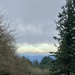 View from Council Crest toward Mt. Hood, which is visible