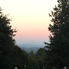 View from Council Crest toward Mt. Hood, which is visible