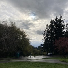 View from Council Crest toward Mt. Hood, which is NOT visible