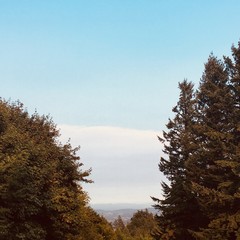 View from Council Crest toward Mt. Hood, which is NOT visible