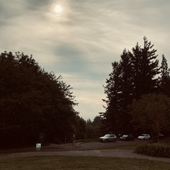 View from Council Crest toward Mt. Hood, which is NOT visible