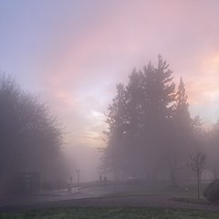 View from Council Crest toward Mt. Hood, which is visible