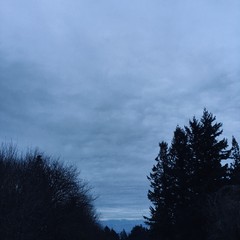 View from Council Crest toward Mt. Hood, which is NOT visible
