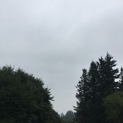 View from Council Crest toward Mt. Hood, which is NOT visible