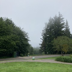 View from Council Crest toward Mt. Hood, which is NOT visible