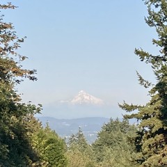 View from Council Crest toward Mt. Hood, which is visible