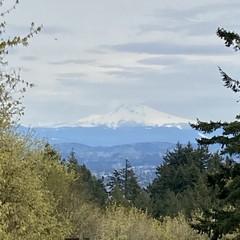View from Council Crest toward Mt. Hood, which is visible