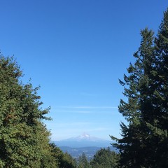 View from Council Crest toward Mt. Hood, which is visible