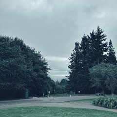 View from Council Crest toward Mt. Hood, which is NOT visible