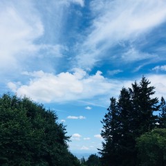 View from Council Crest toward Mt. Hood, which is visible