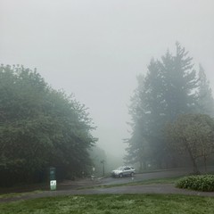 View from Council Crest toward Mt. Hood, which is NOT visible