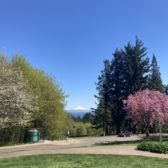 View from Council Crest toward Mt. Hood, which is visible