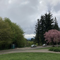 View from Council Crest toward Mt. Hood, which is NOT visible