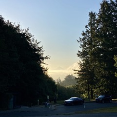 View from Council Crest toward Mt. Hood, which is visible