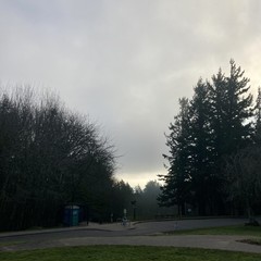 View from Council Crest toward Mt. Hood, which is NOT visible
