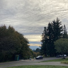 View from Council Crest toward Mt. Hood, which is NOT visible