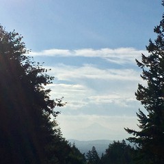 View from Council Crest toward Mt. Hood, which is visible