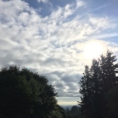 View from Council Crest toward Mt. Hood, which is NOT visible