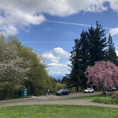 View from Council Crest toward Mt. Hood, which is visible